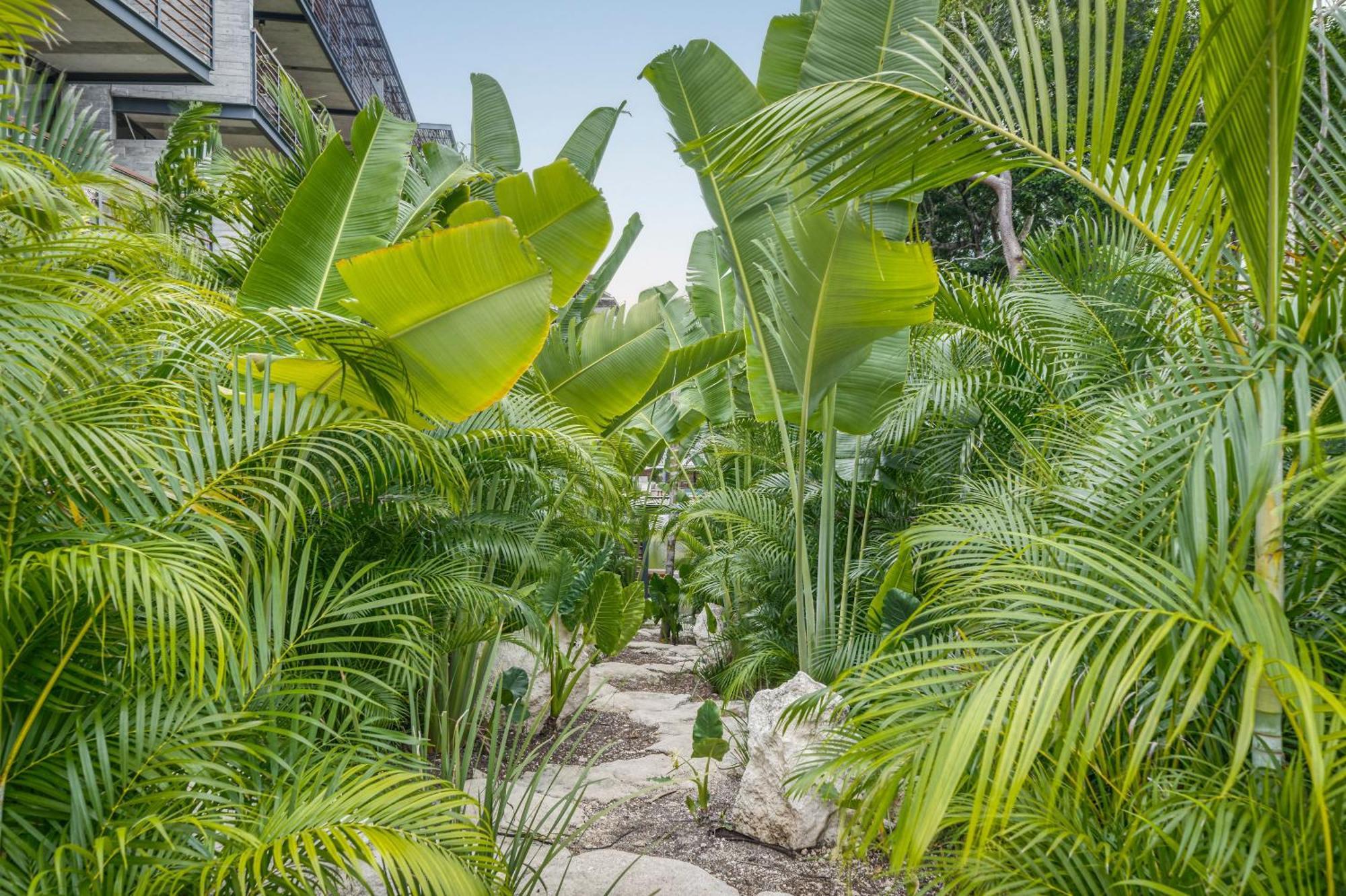 Waterworld Tulum 2Br W Cenote -Lagoons - Big Gym Εξωτερικό φωτογραφία